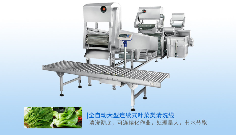 全自動(dòng)大型連續(xù)式葉菜類清洗線